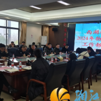 西湖街道召开2024年物业管理工作部署会暨物业行业“利剑护蕾 雷霆行动”工作推进会
