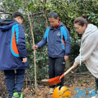 望岳街道:携手植新绿 共筑同心林