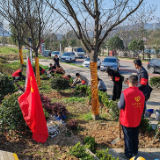 退役军人植树节共植“清廉树” 弘扬绿色风尚