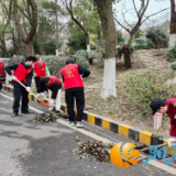五社联动学雷锋，邻里携手靓家园