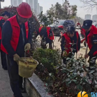 和润园社区：携手植树护绿，共建美丽家园