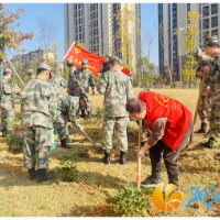 戎光映初心 结对植绿展新颜
