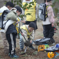 雷锋社区：童心向党学雷锋，植树护绿美环境