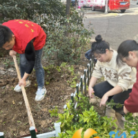 西湖街道龙王港社区：播种绿色心愿，共建生态家园