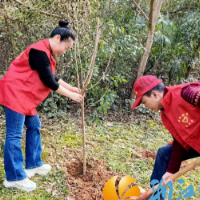 西湖街道咸嘉湖社区：区域共建，为地球增添一点绿色