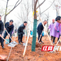 为岳麓山植绿添彩，湘江集团开展义务植树活动