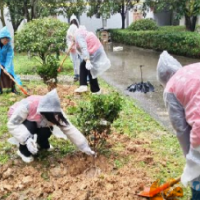 望城坡街道望新社区：阳春三月学雷锋，让爱绿护绿意识根植于心