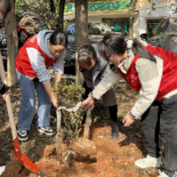 望城坡街道商贸城社区：党建共建同携手 植树清洁学雷锋