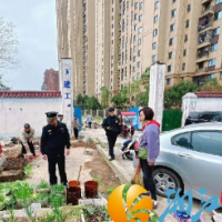 望岳城管：整治违规菜地，净化城市环境