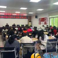 望岳街道召开春季卫生健康工作培训会