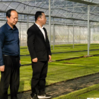 刘国平深入岳麓区莲花镇调研春耕备耕、小微水体管护、农村产业发展等工作