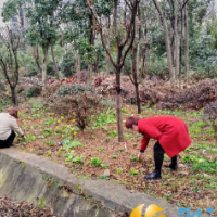 万越社区:网格“大扫除”为美丽添色