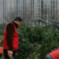 梅溪湖街道嘉顺社区：清理河岸垃圾，助力国家卫生城市创建