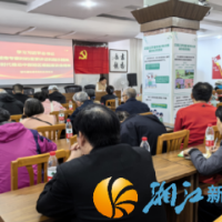 岳龙社区聚焦“学、讲、看、做” 推动“一月一片一课一实践”走深走实
