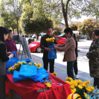 移风易俗过清明 文明祭祀树新风