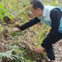 铜盆湖社区：春暖花开季 禁种铲毒正当时