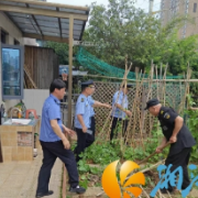 望岳城管:整治违规种菜  共建文明家园