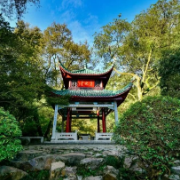 “城市管网”大手术！岳麓山下这里将实现雨污分流