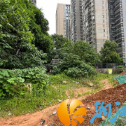 银双社区麓江春小区:从“烂尾楼”到“精美小区”的华丽蜕变