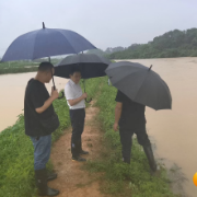 以“迅”应“汛”！含浦街道全力迎战强降雨！