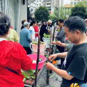 施家港社区：浓浓粽香迎端午 欢天喜地乐开颜