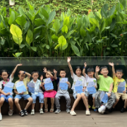 白鹭府社区：探趣自然鱼类篇