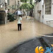 桔子洲街道八字墙社区：开展暴雨天气安全隐患排查，切实筑牢安全防线