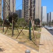 旧貌换新颜  新光路添彩大美洋湖建设