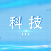 新区企业帮扶暨“两重”“两新”送解优专项行动工作培训会召开