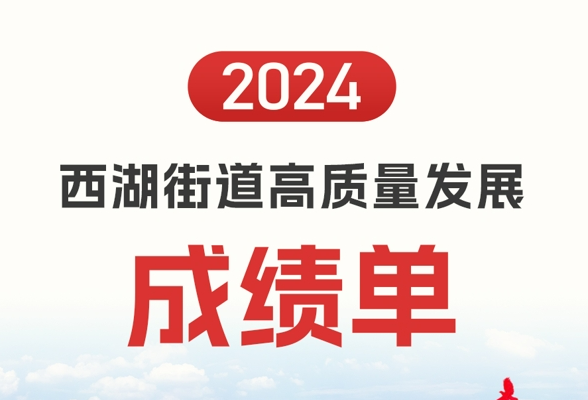 图解丨2024西湖街道高质量发展成绩单