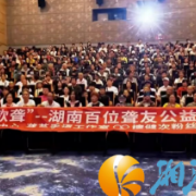 双暖同行，无声亦欢