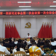 望城坡街道召开第一届居民议事会全体会议 推进基层民主政治建设