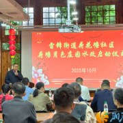 聚力民生实事！雷锋街道荷花塘社区自来水改造工程全面启动