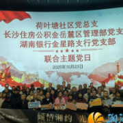 湘江新区荷叶塘社区:赓续红色血脉,共筑时代担当