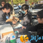 望月湖街道开启“狂犬病免疫进社区”便民活动