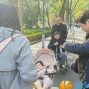 学安社区重阳绘就“银龄新画卷”:登高倡廉 清风相伴