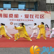 情暖桑榆,爱在社区,天马社区重阳文艺汇演传递敬老深情