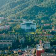 新老党员共聚乡村庆重阳 “初心对话”赋能乡村振兴