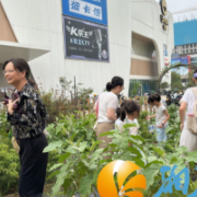 国庆亲子农耕乐，荟聚商场携手上善助残开展国庆亲子活动