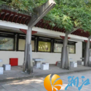 望月公园增设石桌椅：解民忧暖人心，精细化管理见实效