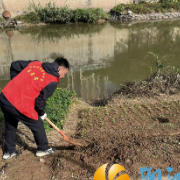嘉欣社区开展违规“菜园”清理整治 守护河道生态环境