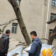 纾解民忧倾心力 回应期盼落地声