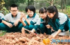 当秋收遇上多学科，这所小学把课堂搬进田间地头