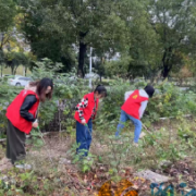 南家塘社区:多方携手清河道 共治共享美家园