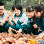 当秋收遇上多学科,这所小学把课堂搬进田间地头