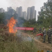 望城坡街道开展基干民兵应急处突能力专项培训 锻造新时代“拉得出、用得上”的民兵力量