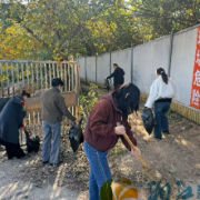 “党建红”引领“生态绿” 共绘治水护绿新画卷