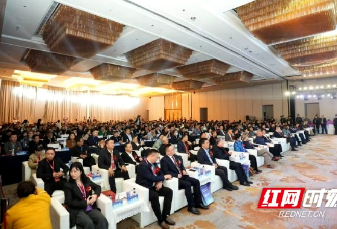 2025第三届国际健康发展大会在长沙举行