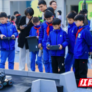 电饭煲“卫星”上天、乐高“战车”出击!这场科创盛会,孩子们玩“疯”了