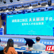 天天麓演“T台”,让“金种子”长成“金果子”!